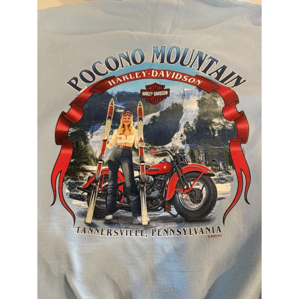 Harley Davidson Hoodies Lot of 2 Medium Pocono Mountain PA Pullover Sweatshirt